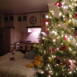 Продається квартира Київ, Голосіївський, м. Голосіївська фото 6 Продається квартира Київ, Голосіївський, м. Голосіївська фото 6