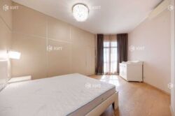 ��������� �������� ������ ���., 1, �����, ���������, ������������, ������ �����, �. ������ ����������� (���������) ���� 11