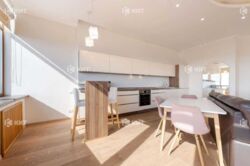 ��������� �������� ������ ���., 1, �����, ���������, ������������, ������ �����, �. ������ ����������� (���������) ���� 6