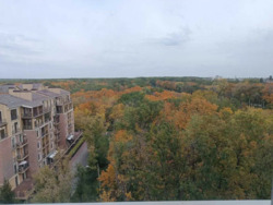 ��������� �������� �������������� ��., 28, �����, ���������, �������������, ����������, �. 23 ������ ���� 8