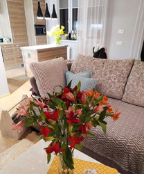 ��������� �������� ���������, �����, ��������, ��� ����������������, ����������� ��., 34, �. ��������� ���� 3