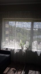 ������ �������� � ����� �� �������� �����, ���� ����, 19�? �� ��. ����� 30 ���� 3