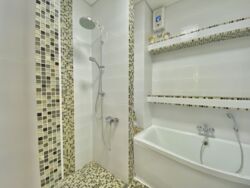 ��������� �������� ���������, �����, �������������, ������� ����, ������� ����� ���., 12�, �. ���������� ��� ���� 5