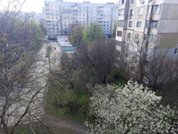 Двухкомнатная квартира Новые дома Олимпийская. фото 11 Двухкомнатная квартира Новые дома Олимпийская. фото 11