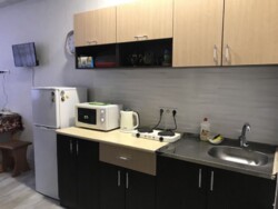 ��������� �������� ���������� �����, 43, �����, ���������, ���������� (�����������), ������ ��������, �. ��������� ������ ���� 2