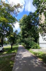 ������� ����� ���., 55 ���� 14