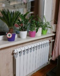 ��������� �������� ������������������ ��., 122�, �����, ���������, ���������� (�����������), �������� 603 �/�, �. �������� ���������� ���� 2