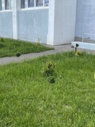 �� �������, 1-��������� (���������, 23). ���� 19