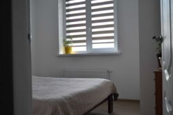 ������ 2-������� �������� ���������� � ��������� �� ��������-2 ���� 17