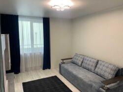 В продаже 1 - комнатная квартира в ЖК «Дом на Зерновой» с ремонтом фото 10 В продаже 1 - комнатная квартира в ЖК «Дом на Зерновой» с ремонтом фото 10