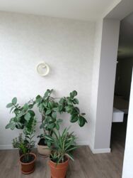 ��������� �������� ��������� ��., 67�, �����, ���������, ���������� (�����������), �������� 602 �/�, �. �������� ���������� ���� 14