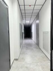 ������ �� ���������� �������. 58 �.��. ����� ���� 8