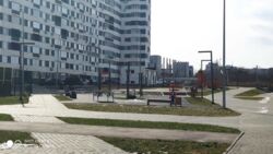 ��������� �������� ������ �������� ��. (���������� ��.), 156, �����, ���������, �������������, ����� ����, �. ����� ������ ���� 8