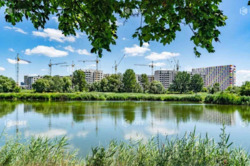 1�. 41�2 �������� (��������, �� ������, �. ��������� �������) ���� 5