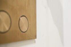 ��������� �������� ���������, �����, ������������, ������ �����, ������, 1, �. ������ ����������� (���������) ���� 6