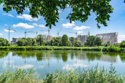 ������ ������� 1-������� �������� �� ������� � ������� �� '������' ���� 4