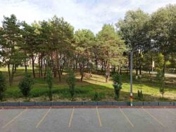 Продається квартира Харківська, Харків, Салтівський (Московський), Салтовка, м. Ак. Павлова, Шевченковский пер., 40, м. Академіка Павлова фото 4 Продається квартира Харківська, Харків, Салтівський (Московський), Салтовка, м. Ак. Павлова, Шевченковский пер., 40, м. Академіка Павлова фото 4