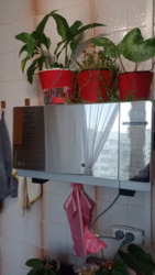 ������ 1� �������� � �������� �� �������� 27. ����, �������.20000 ���� 18