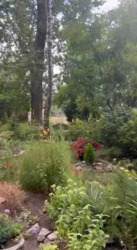 ����� �����������! ������. 2-�. ��.����� �����. �����!!!� 56 �2, ���,4 ���� 18