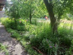 ������ �������� ���������� ����. ���� 13