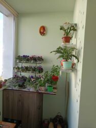 � ������� 1 - ������� �������� � �� ������� ���� 6