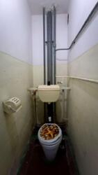 ��������� �������� ��������� ��., 7, �����, ���������, ��������, ��������, �. ������� ���� 5