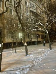 ��������� �������� ��������� ������� ��., 319, �����, ���������, ���������� (�����������) ���� 13