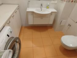 ����� ����� ���� 10