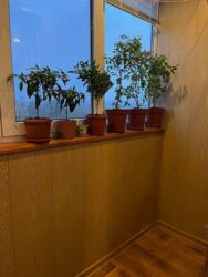 Квартира с ремонтом, метро Студенческая фото 9 Квартира с ремонтом, метро Студенческая фото 9