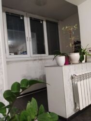 Продам 2х комнатную квартиру на Салтовке, ‼️2/9, два балкона. фото 9 Продам 2х комнатную квартиру на Салтовке, ‼️2/9, два балкона. фото 9