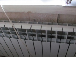 ��������� �������� ����������, ����������, ��������� ���� 12