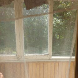 �������! 2�.�� �� ��������. ���� 2