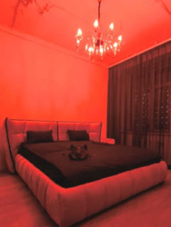 ������������ ��������, ���� ���, �����,�� '��� �� �������' ���� 1