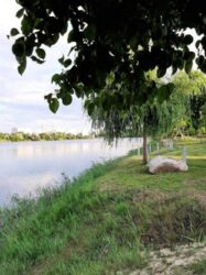 ������  �������� �� ��������� ���� 70 ��.�. ���� 8