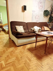 ��������� �������� ������� ������� ��., 39�, �����, ���������, �������������, ����������, �. �������� ���� 14