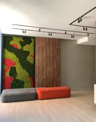 ��������� �������� �������������� �����, ���, �����������, �. �������� ���� 5