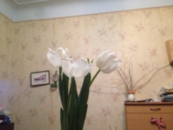 � ������� 3 - ��������� �������� �������� ������� ����� ���������� ����� ��. �������������� ���� 2