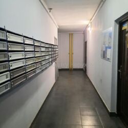 ������ 1� �������� �� ����������� ����� ����� �� �������� ���� 13