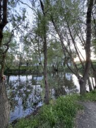 Квартира находится в Закрытом охраняемом Комплексе,от метро Киевская 2 км, Ул.Новоалександровская 54 А фото 10 Квартира находится в Закрытом охраняемом Комплексе,от метро Киевская 2 км, Ул.Новоалександровская 54 А фото 10