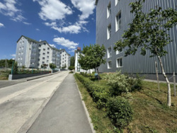 ������� �������� � �������� ���������� ��������� ����� ���������� ���� 16