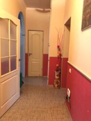 Продається квартира Харківська, Харків, Індустріальний, ХТЗ, Фрунзе пр., 21, м. Індустріальна фото 3 Продається квартира Харківська, Харків, Індустріальний, ХТЗ, Фрунзе пр., 21, м. Індустріальна фото 3