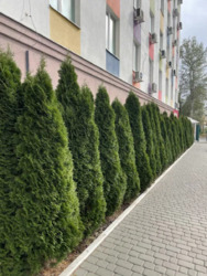 ������ ����� �������� ��������� ���� ���� 8