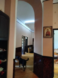 ��������� �������� ��������������� ��. (������� �������� ��.), 14, �����, ���������, ��������, �������� �����, �. �������� ������� ��������� ���� 5