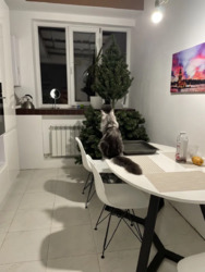 В продаже 1 - комнатная квартира в ЖК Околица станция метро Холодная Гора фото 2 В продаже 1 - комнатная квартира в ЖК Околица станция метро Холодная Гора фото 2