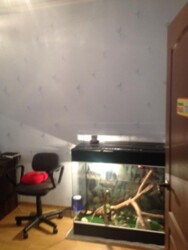 ��������� �������� ���������� ��., 12, �����, ���������, �������������, ���, �. ���������� ����� ���� 5