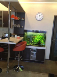 Продається квартира Харківська, Харків, Київський, Салтовка, 522, Барабашова ул., 36а, м. Студентська фото 2 Продається квартира Харківська, Харків, Київський, Салтовка, 522, Барабашова ул., 36а, м. Студентська фото 2