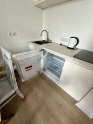 ��������� �������� ���������, �����, �������������, �. �����������, ���� ��., 21, �. ��. ������������ ���� 4