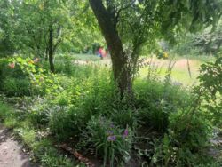 ������ �������� ���������� ����. ���� 12