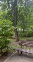 ����� �����������! ������. 2-�. ��.����� �����. �����!!!� 56 �2, ���,4 ���� 17