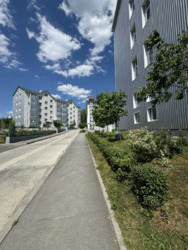 ������� �������� � �������� ���������� ��������� ����� ���������� ���� 18